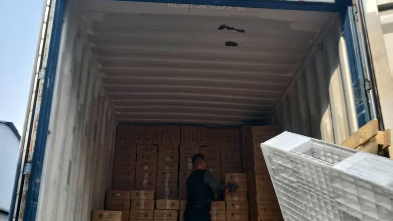 Container loading supervision, photographed by our team