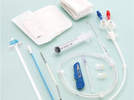 Long-term hemodialysis catheter
