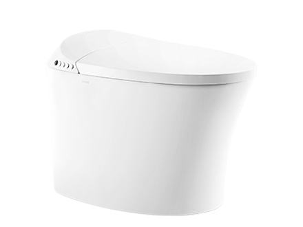 Smart toilet A1