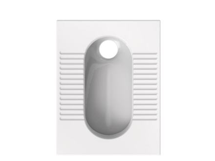 Squat toilet