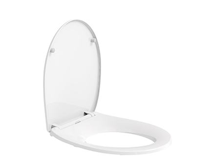 Toilet seat