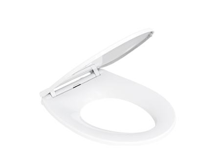 Toilet seat