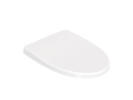 Toilet seat