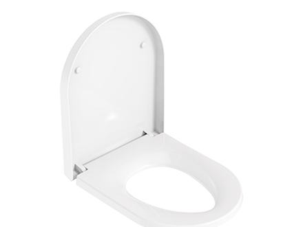Toilet seat