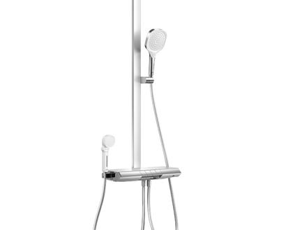 Shower set